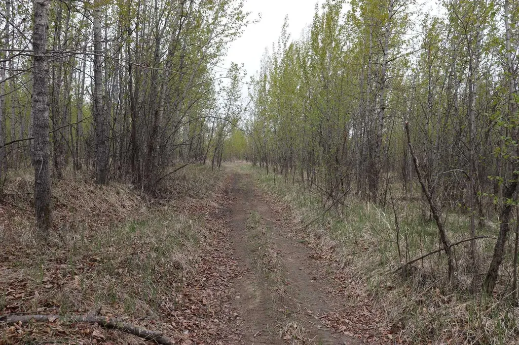 54525 Range Road 142b Rural Yellowhead County AB T7E 3Z4