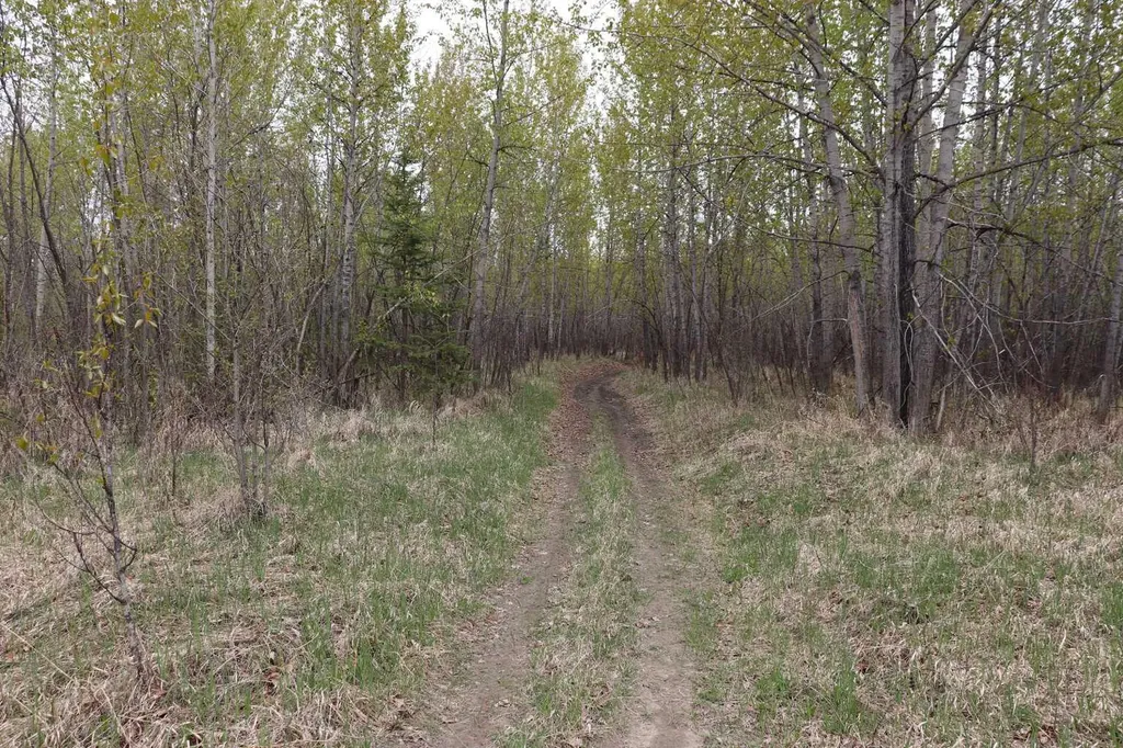 54525 Range Road 142b Rural Yellowhead County AB T7E 3Z4