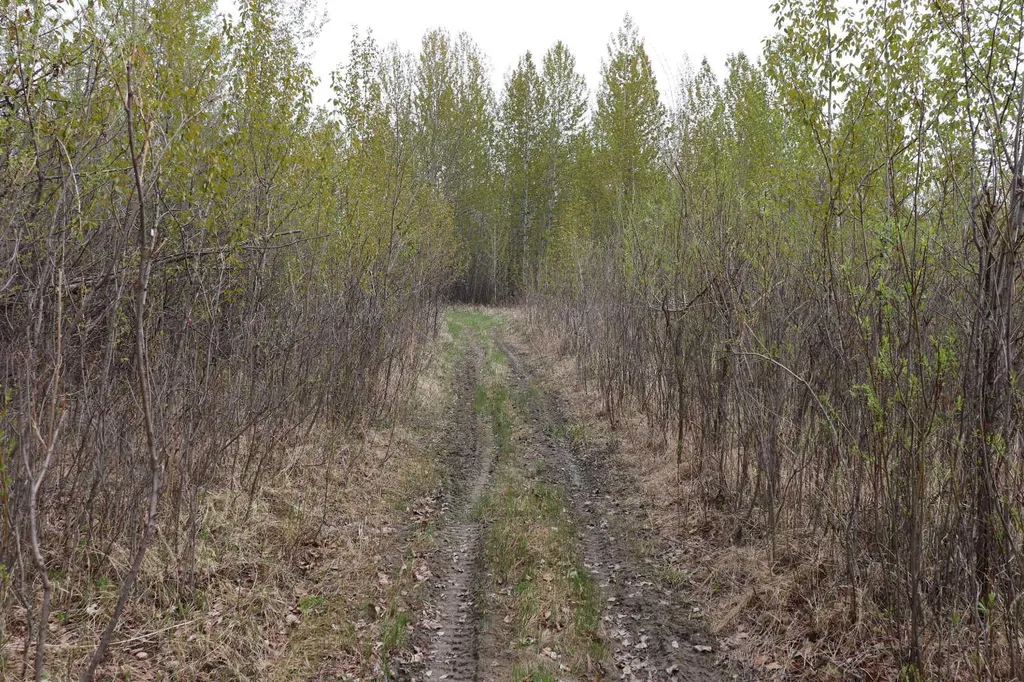 54525 Range Road 142b Rural Yellowhead County AB T7E 3Z4