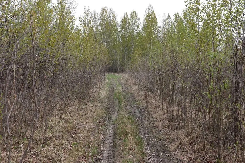 54525 Range Road 142b Rural Yellowhead County AB T7E 3Z4