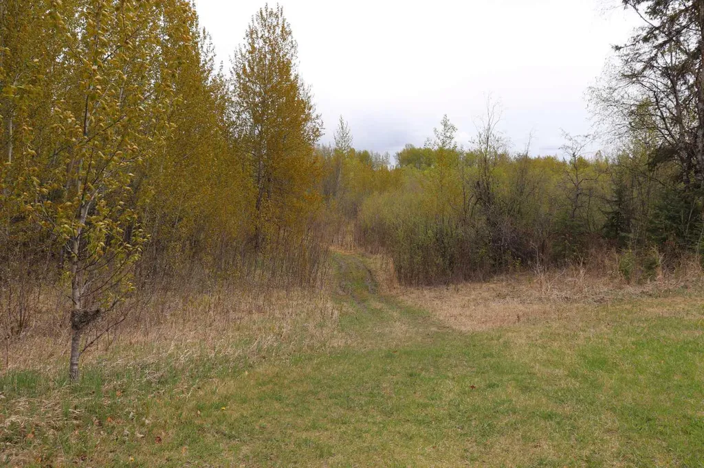 54525 Range Road 142b Rural Yellowhead County AB T7E 3Z4