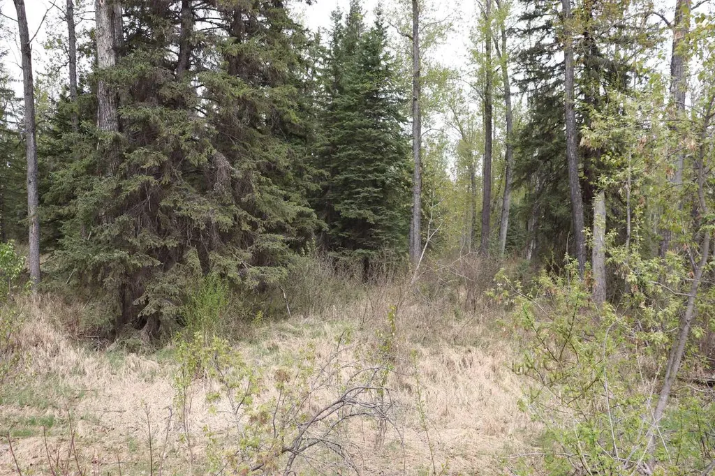 54525 Range Road 142b Rural Yellowhead County AB T7E 3Z4
