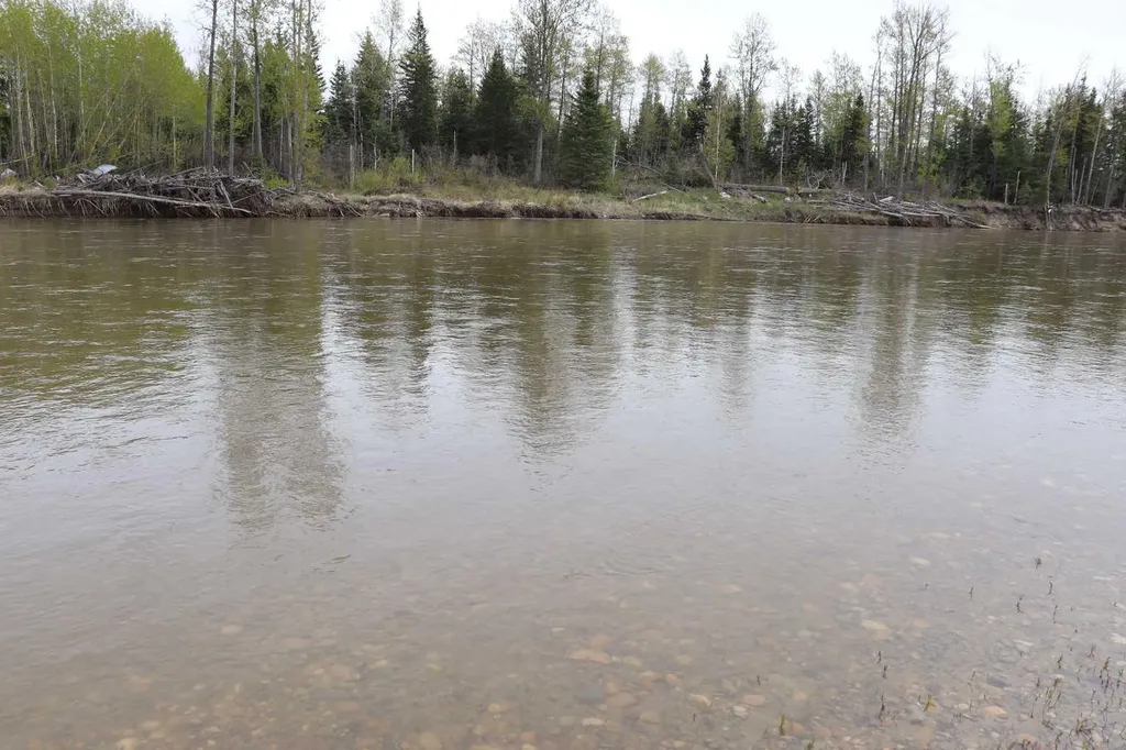 54525 Range Road 142b Rural Yellowhead County AB T7E 3Z4