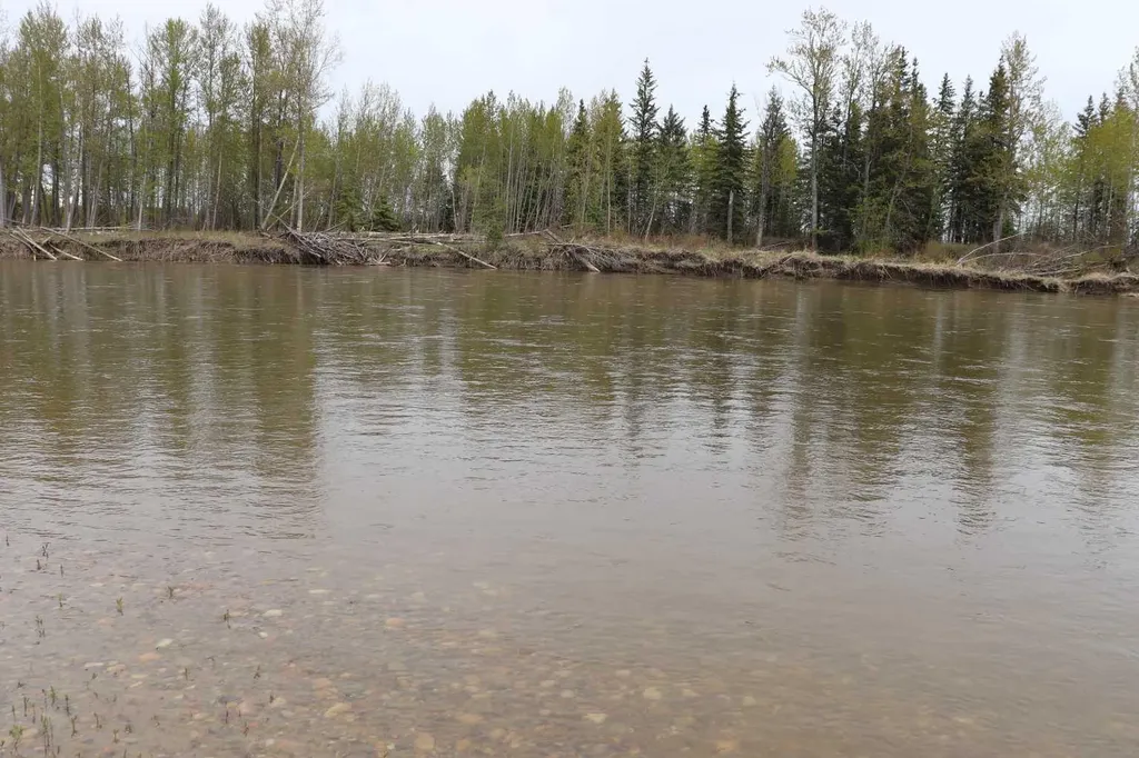 54525 Range Road 142b Rural Yellowhead County AB T7E 3Z4