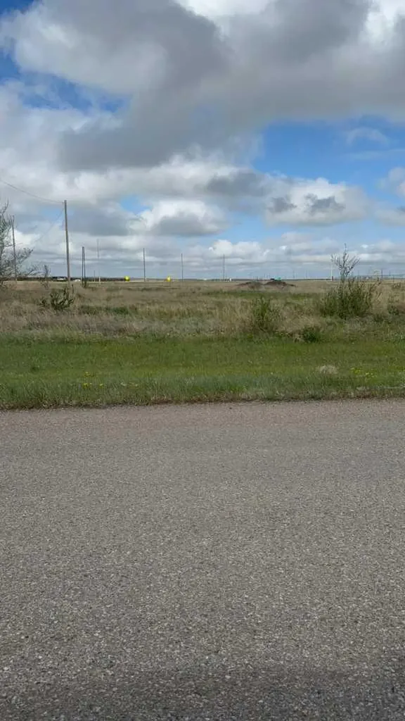 118 Illingworth Avenue Suffield AB T0J1R0
