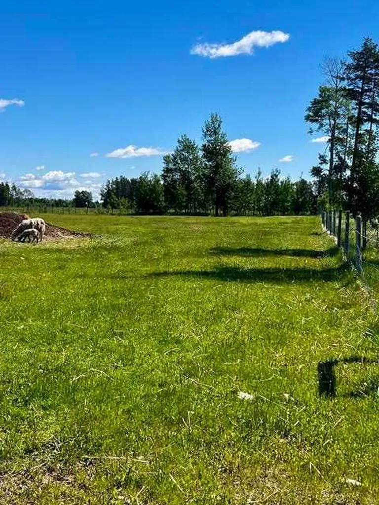33139 Range Road 55 Rural Mountain View County AB T0M 1X0