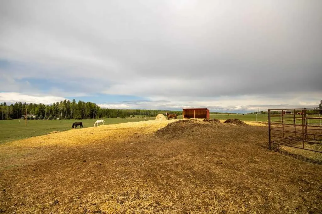 33139 Range Road 55 Rural Mountain View County AB T0M 1X0