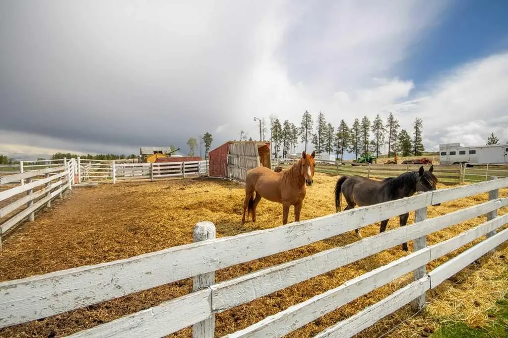 33139 Range Road 55 Rural Mountain View County AB T0M 1X0