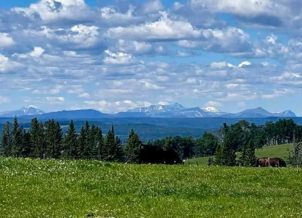 33139 Range Road 55 Rural Mountain View County AB T0M 1X0