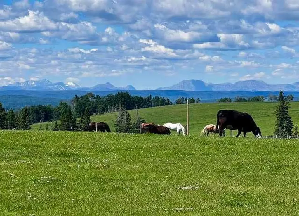 33139 Range Road 55 Rural Mountain View County AB T0M 1X0