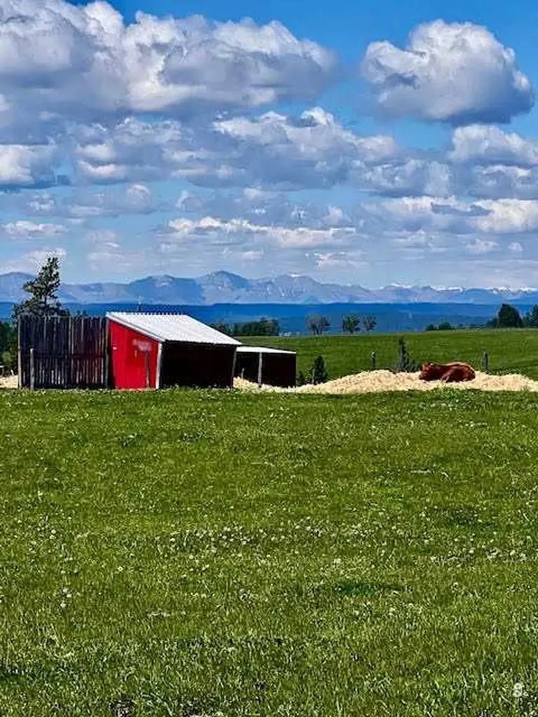 33139 Range Road 55 Rural Mountain View County AB T0M 1X0