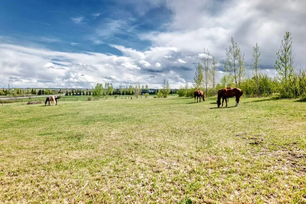 16253 262 Avenue E De Winton AB T1S 4G7