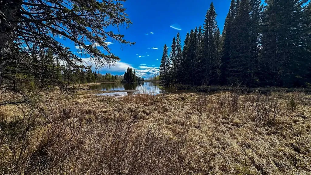 5227 Township Road 320 Rural Mountain View County AB T0M1X0