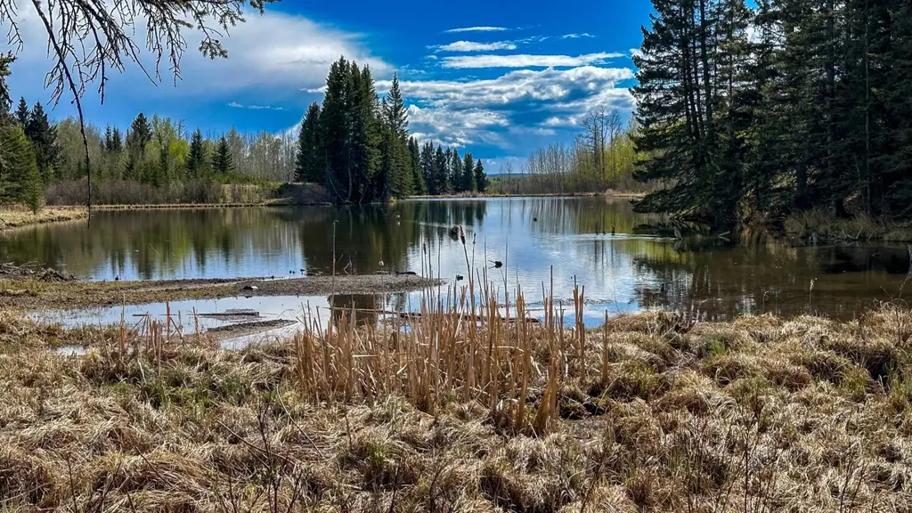 5227 Township Road 320 Rural Mountain View County AB T0M1X0