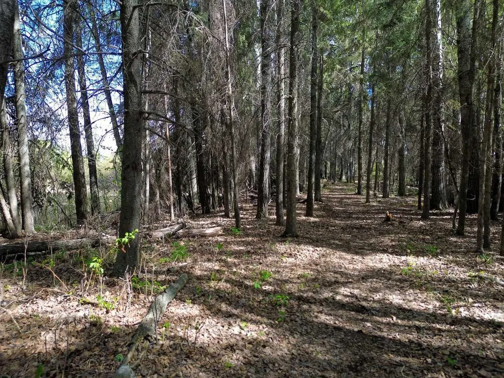 44015 37-4 Township Rural Clearwater County AB T0M0P0