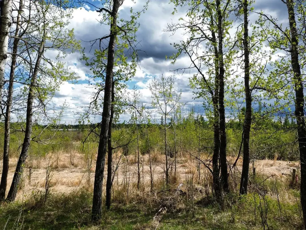 44015 37-4 Township Rural Clearwater County AB T0M0P0