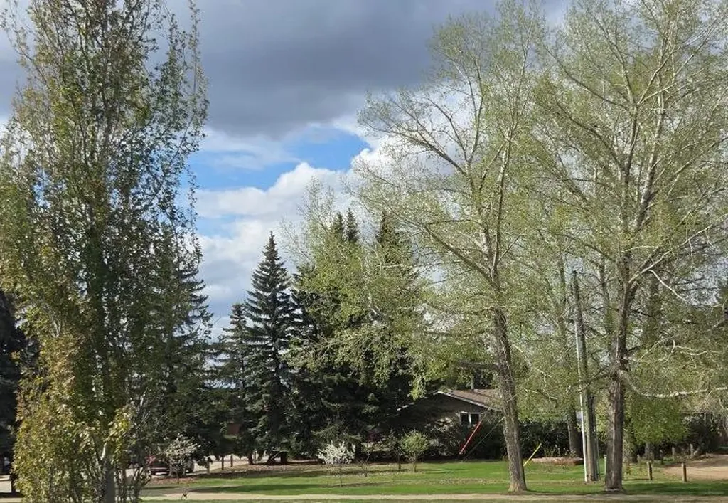 77 Briarwood Crescent Blackfalds AB T0M 0J0
