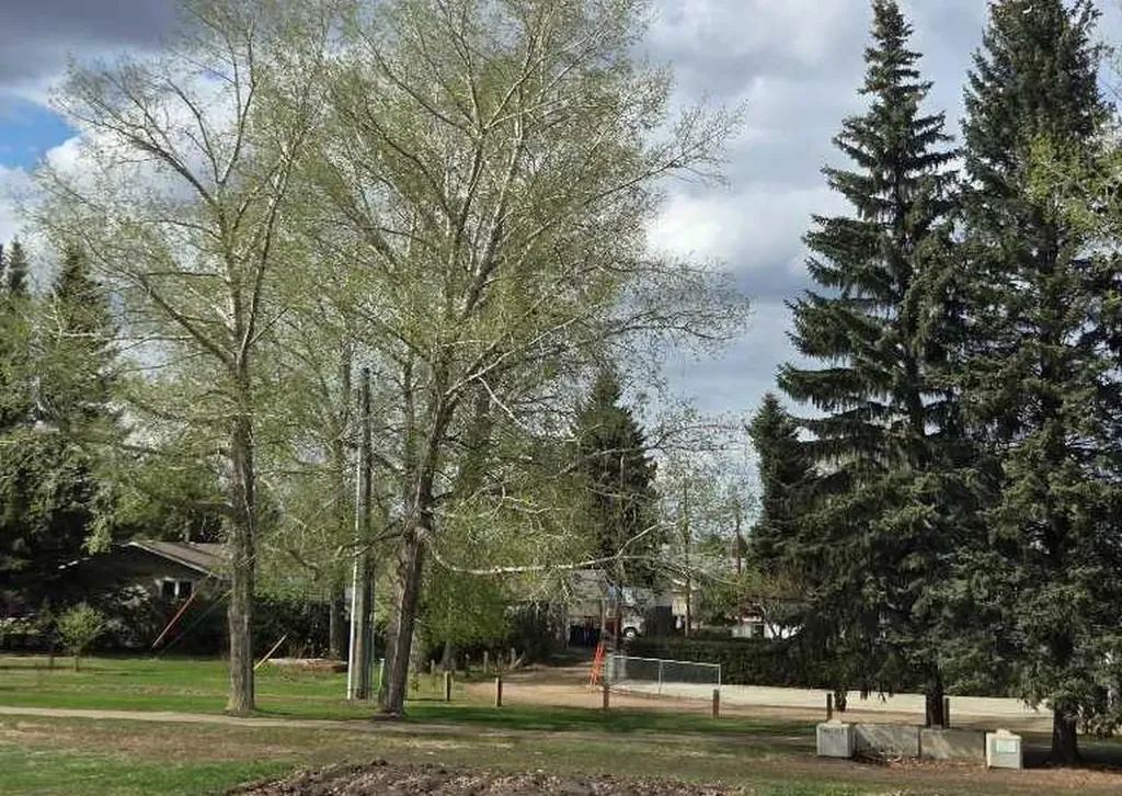 77 Briarwood Crescent Blackfalds AB T0M 0J0