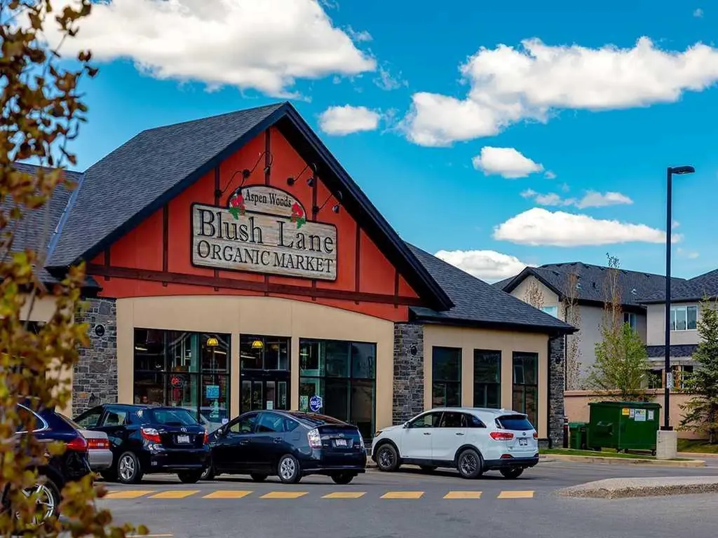 162 Ascot Point SW Calgary AB T3H 0X1