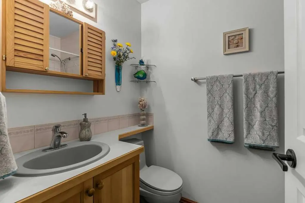 146 Cougar Point Road Canmore AB T1W 1A1