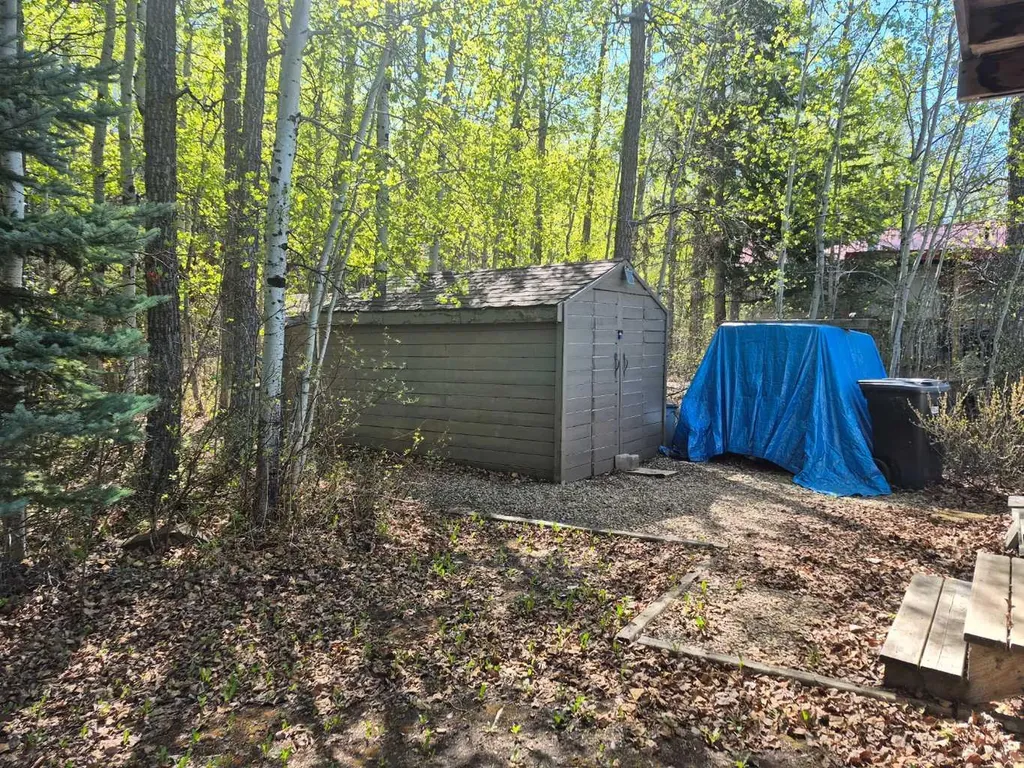 10046 Township Road 422 Rural Ponoka County AB T0C 2J0