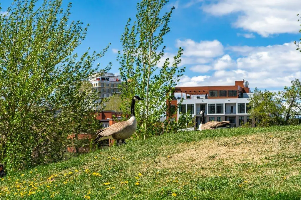 110 7 Street SW Calgary AB T2P 5M9