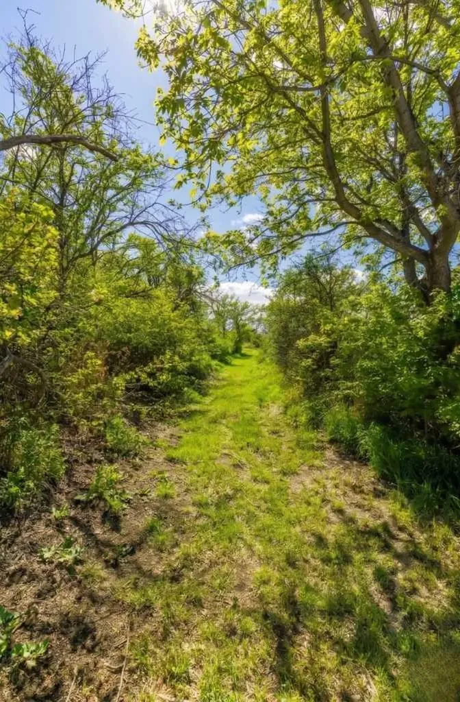 12016 Range Road 61a Rural Cypress County AB T1A 7G7
