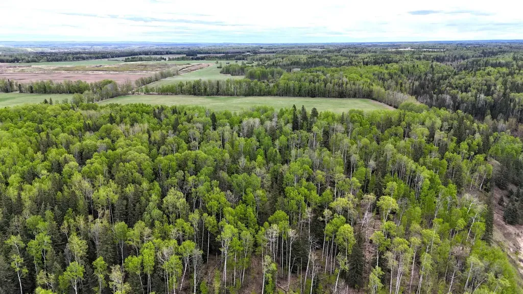 54431 Range Road 145a Rural Yellowhead County AB T7E 3W7