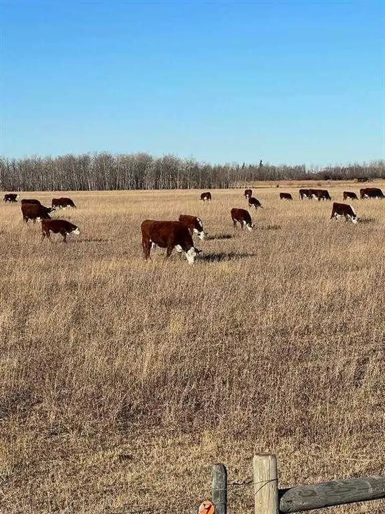 SE-32-71-5-W6 Grande Prairie AB T8X 0G4