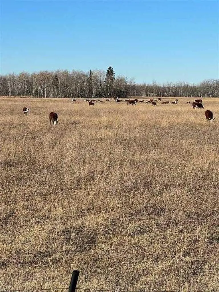 SE-32-71-5-W6 Grande Prairie AB T8X 0G4