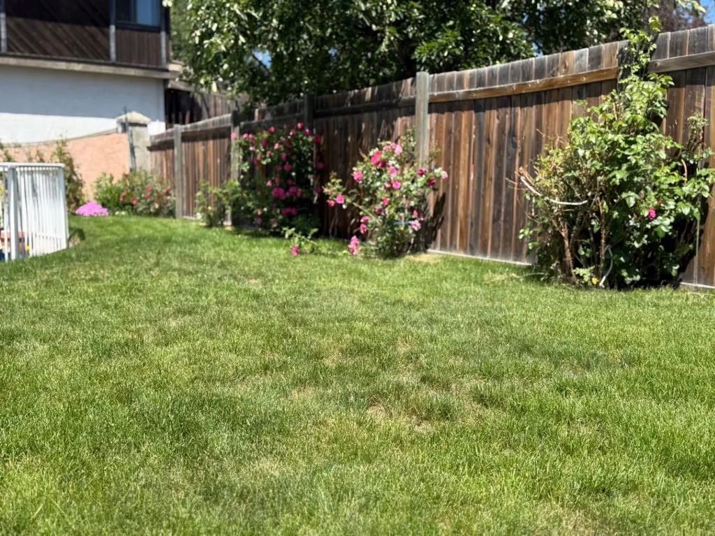 6803 Dalmeny Gate NW Calgary AB T3A 1T5