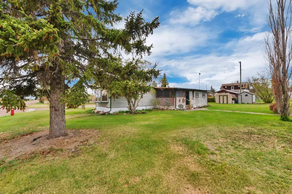 157 Railway Avenue S Big Valley AB T0J 0G0