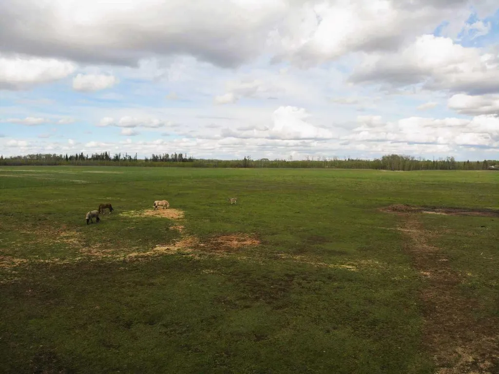 32040 740 Township Teepee Creek AB T0H 3C0