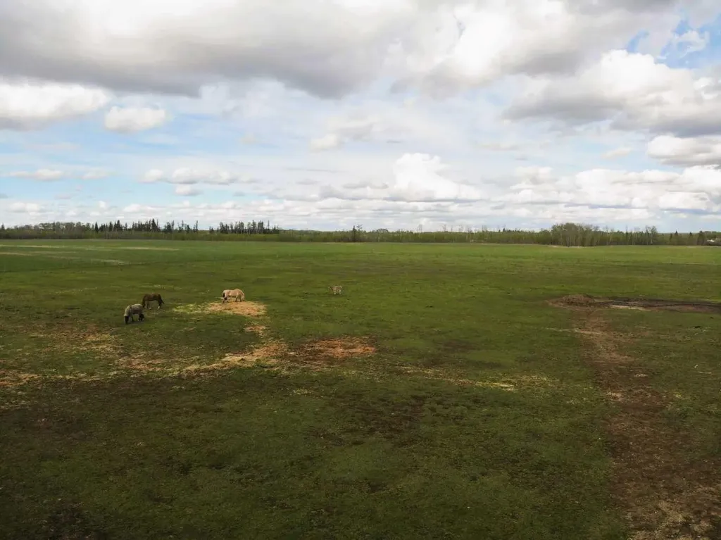32040 740 Township Teepee Creek AB T0H 3C0