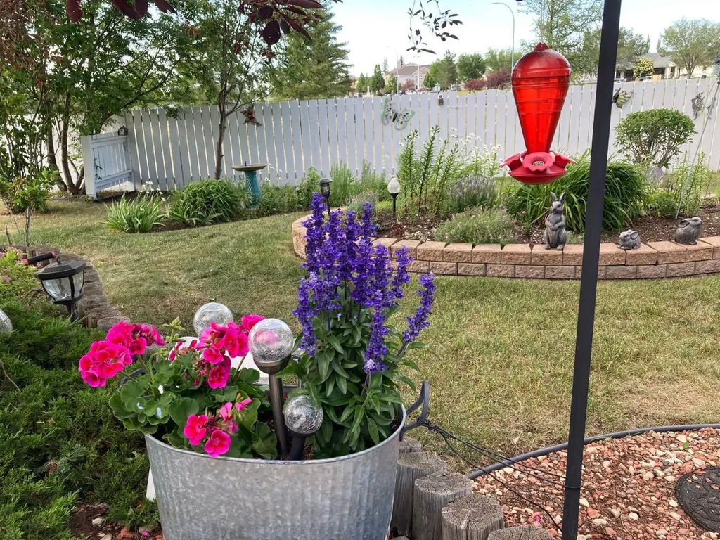 3932 56a Street Close Camrose AB T4V 4L1