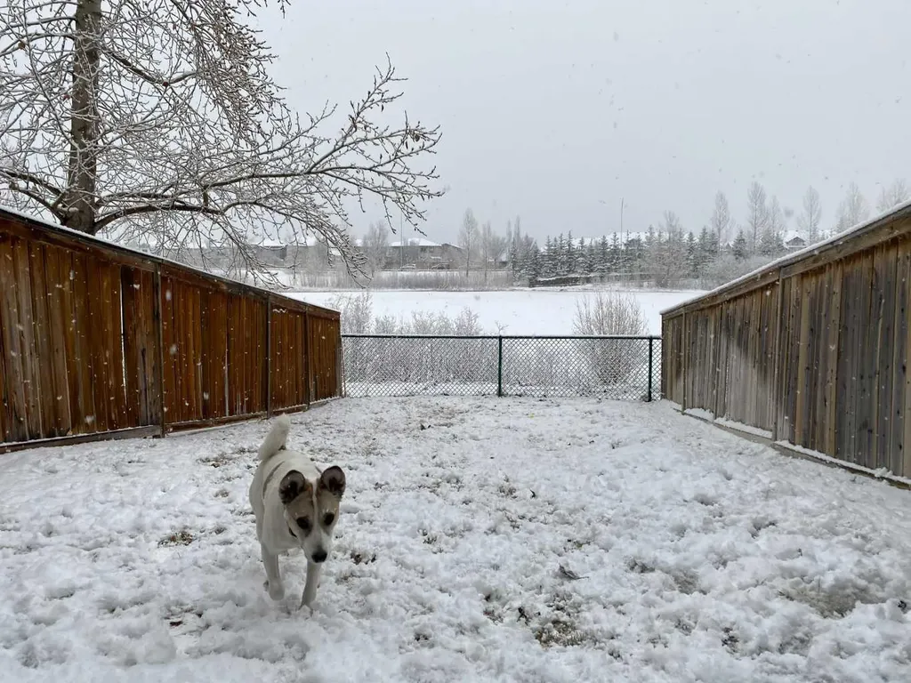 44 Everridge Common SW Calgary AB T2Y5G9