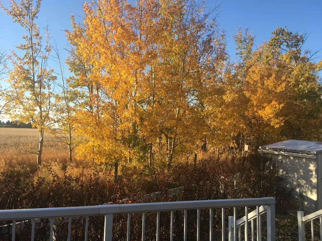 35468 Range Road 30 Rural Red Deer County AB T4G 0M3