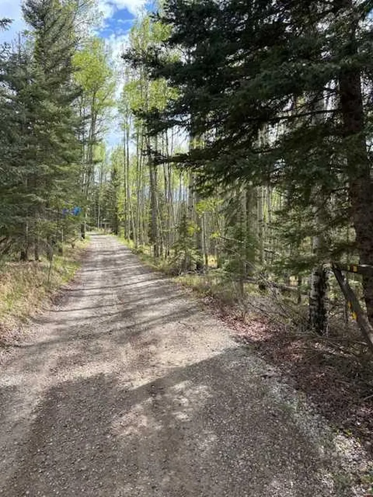 5413 Highway 579 Rural Mountain View County AB T0M 2E0