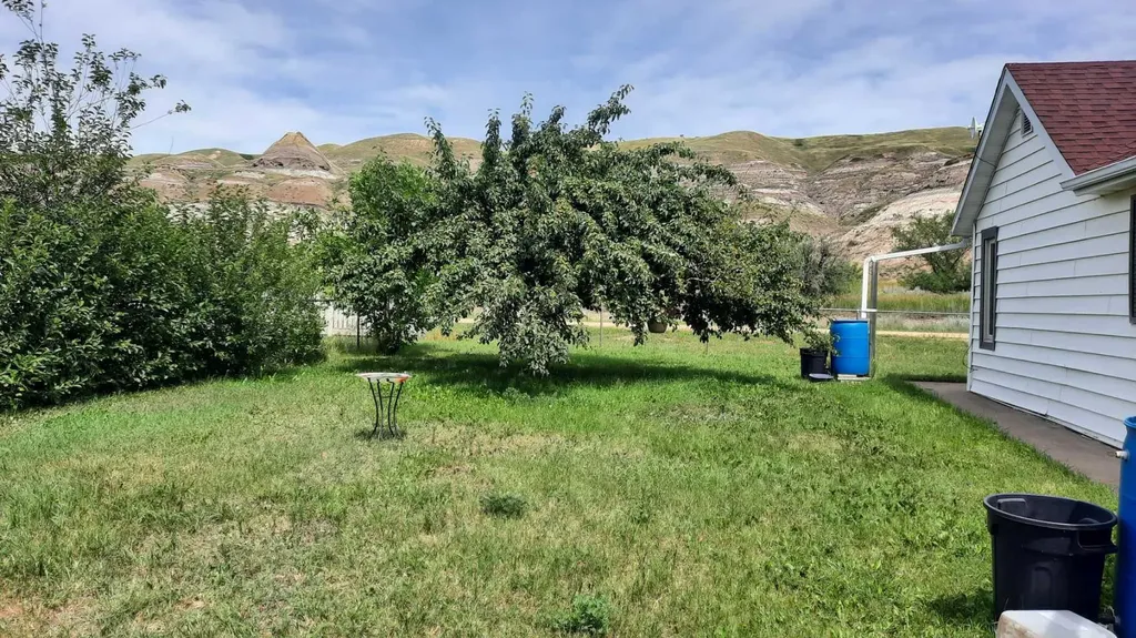 261 1 Avenue Drumheller AB T0J1B0