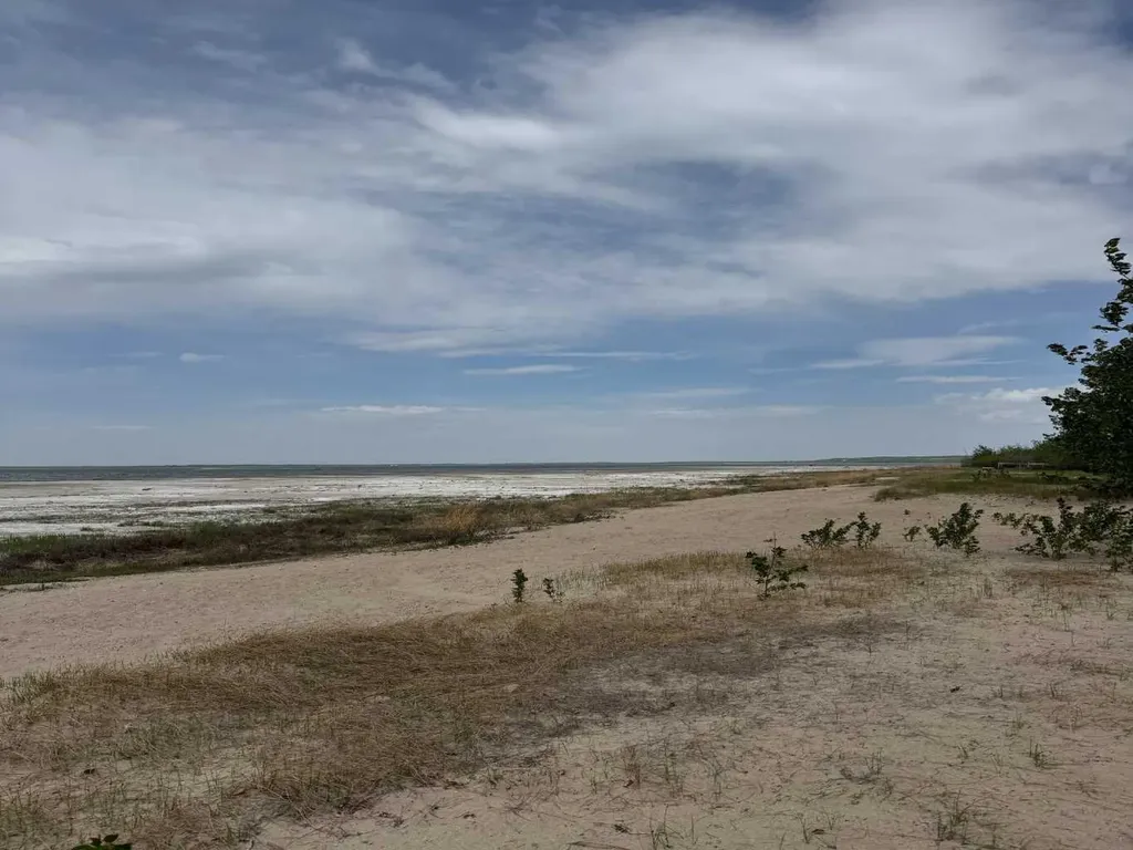 16 Earl's Way White Sands AB T0C 2L0