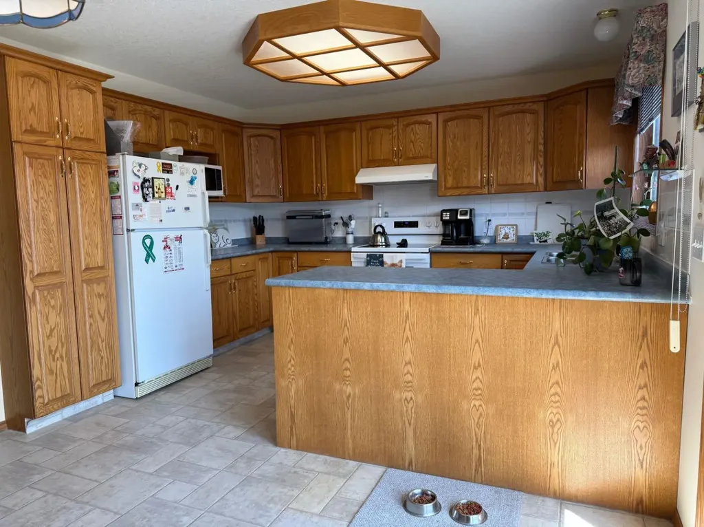 817 Bankview Drive Drumheller AB T0J0Y5