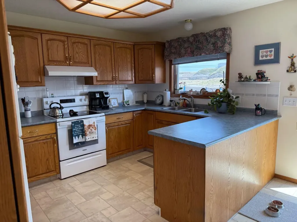 817 Bankview Drive Drumheller AB T0J0Y5