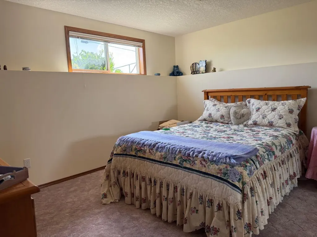 817 Bankview Drive Drumheller AB T0J0Y5