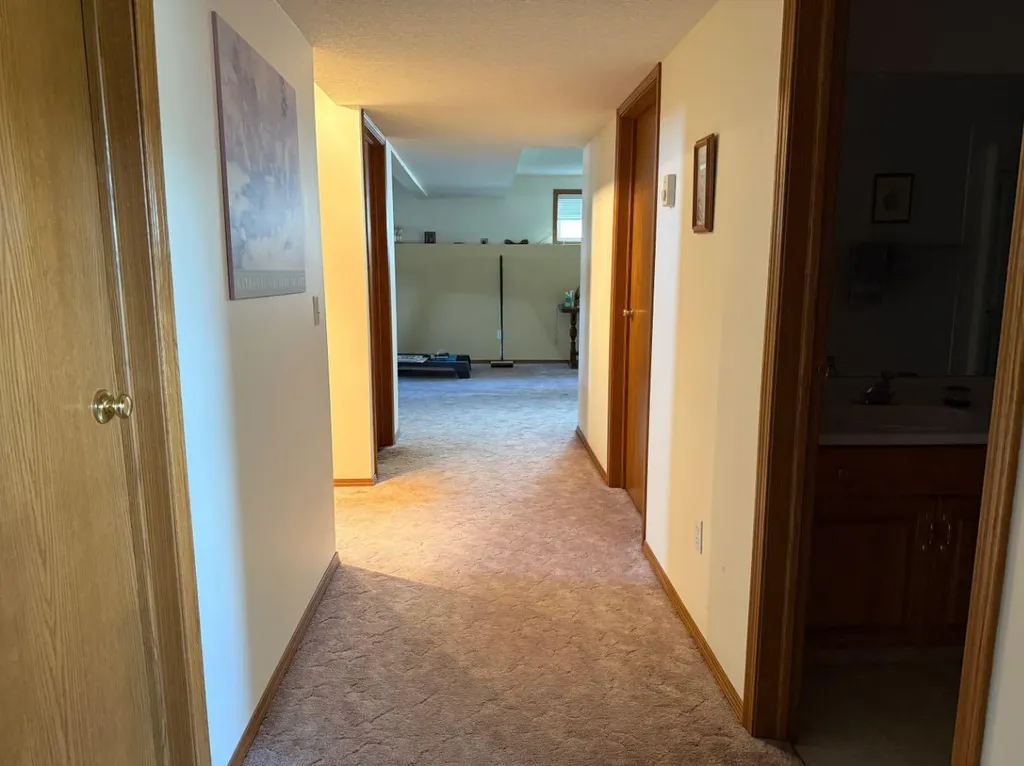 817 Bankview Drive Drumheller AB T0J0Y5