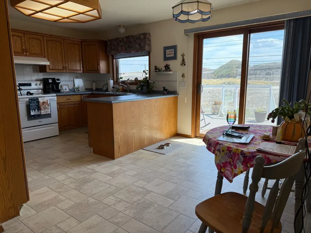 817 Bankview Drive Drumheller AB T0J0Y5