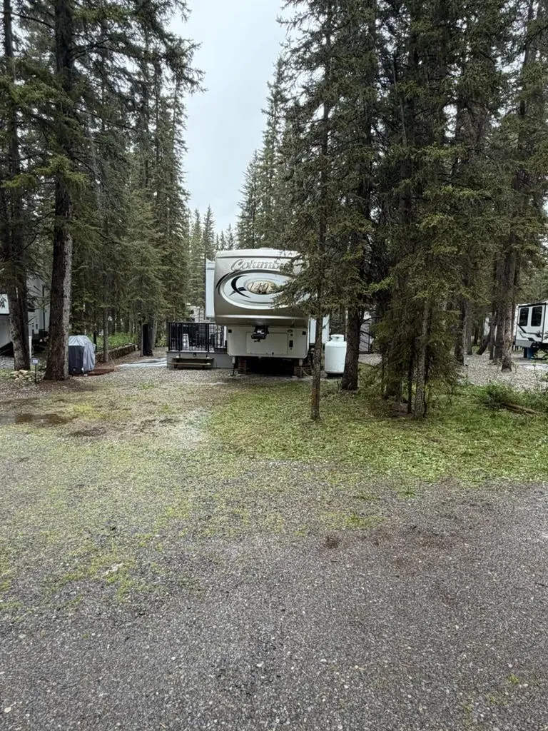 11 Timber Alley NW Rural Mountain View County AB T0M 1X0