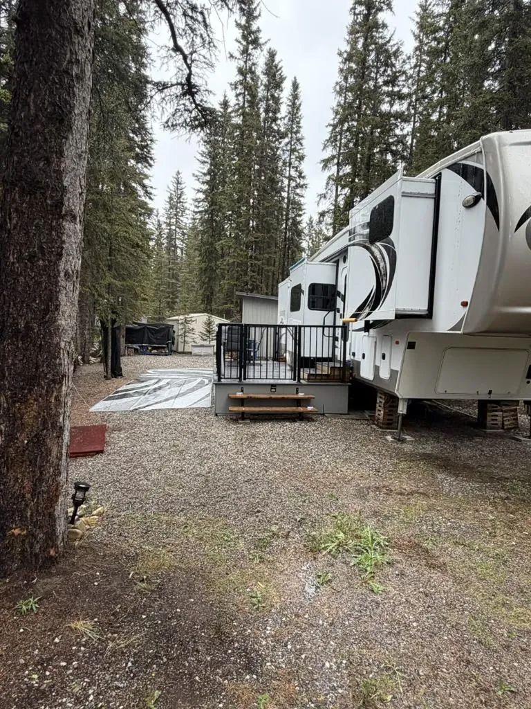 11 Timber Alley NW Rural Mountain View County AB T0M 1X0