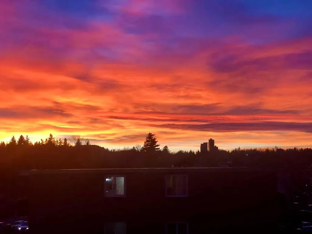 1110 17 Street SW Calgary AB T3C3X3