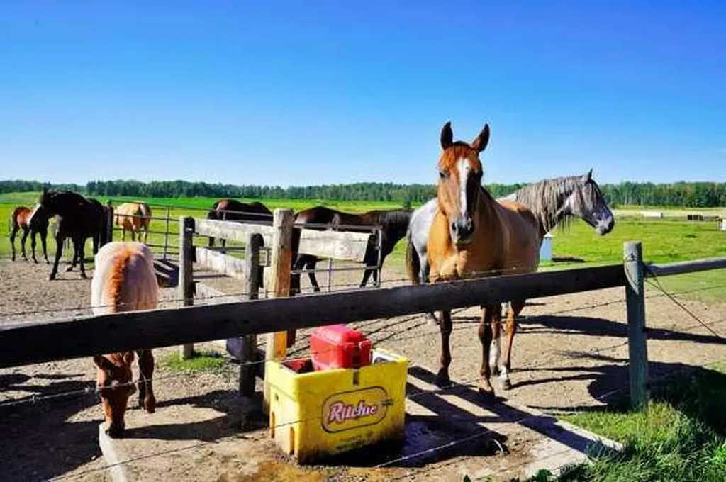 353022 Range Road 4-3 Rural Clearwater County AB T0M0M0