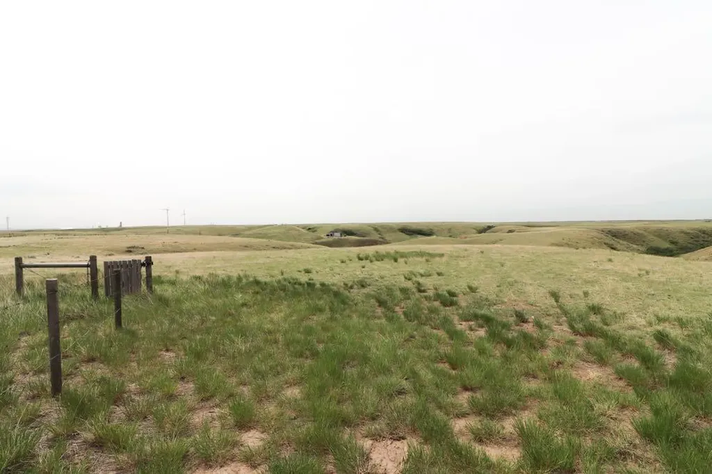 13429 Range Road 62 Rural Cypress County AB T1B 4Y5